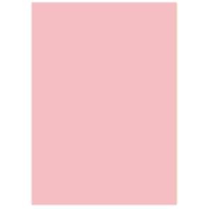 北越製紙 カラーペーパー/リサイクルコピー用紙 〔B4 500枚×5冊〕 日本製 ピンク