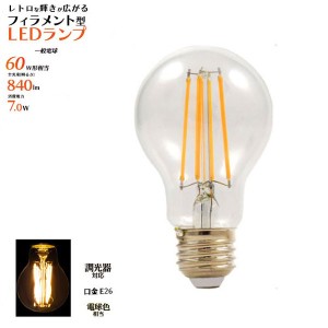 〔2個セット〕懐かしいレトロな輝き。 フィラメント型LED電球（一般電球型）