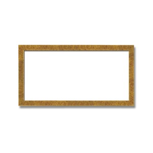 〔長方形額〕木製額　縦横兼用額　前面アクリル仕様　■金(銀)長方形額(500×250mm)金柄紋