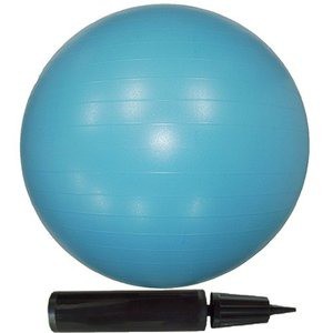 〔10個セット〕エクササイズボール 65cm ブルー