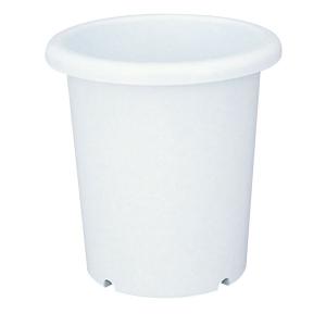 6号 植木鉢 100均の通販 Au Pay マーケット