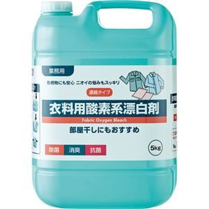 （まとめ）ロケット石鹸 衣料用酸素系漂白剤 業務用5kg 1本〔×10セット〕