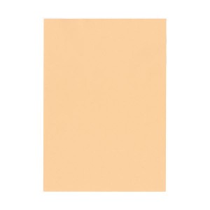北越コーポレーション 紀州の色上質A3Y目 薄口 びわ 1箱(2000枚:500枚×4冊)