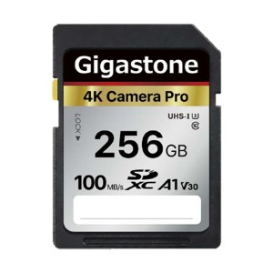 Gigastone SDXCカード 256GB V30 UHS-1 U3 A1 GJSX-256GV3A1 1枚