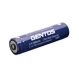 （まとめ）GENTOS 専用充電池SG-39SB〔×2セット〕