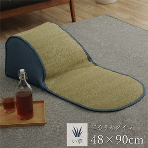 い草 クッション 〔約48×90cm〕 消臭 調湿 吸湿 ごろりん ごろ寝 くつろぐ さらさら 〔リビング ダイニング ベッドルーム〕