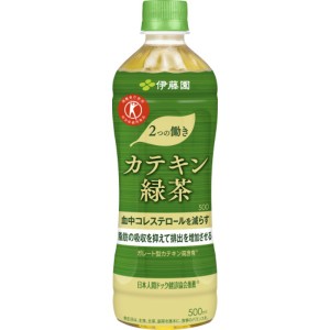 〔ケース販売〕伊藤園 PET 2つの働きカテキン緑茶500ml 〔×48本セット〕