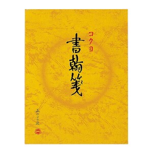 【メール便発送】コクヨ 便箋 書翰箋 色紙判 100枚 縦罫15行 ヒ-51