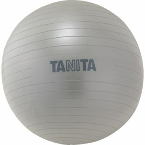 【ギフト】タニタ タニタサイズ ジムボール TS-962SV
