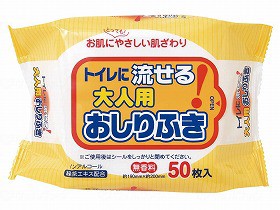 ペーパーテック トイレに流せる大人用おしりふき 50枚 N031