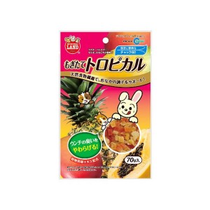 （まとめ買い）マルカン もぎたてトロピカル 70g MR-670 〔×10〕