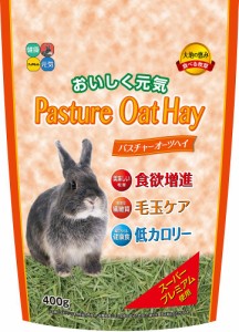 （まとめ買い）ハイペット パスチャーオーツヘイ 400g 〔×4〕