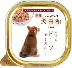 （まとめ買い）わんわん 犬日和 ごろごろビーフ チーズ入り 100g 犬用フード 〔×32〕