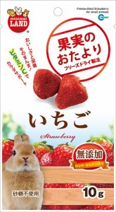 （まとめ買い）マルカン 果実のおたより いちご 10g 小動物用フード 〔×12〕