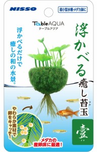 マルカン ニッソー テーブルアクア 浮かべる癒し苔玉 壹(イチ) NAP-573 観賞魚用品