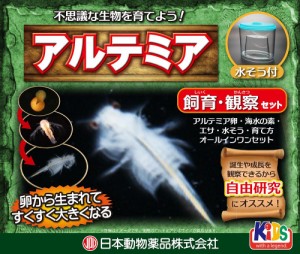 ニチドウ アルテミア飼育観察セット 観賞魚用品