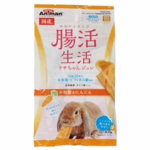 ミニアニマン 腸活生活 ウサちゃんジュレ 小松菜&にんじん 3g×10個 ウサギ用フード