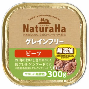 （まとめ買い）サンライズ ナチュラハ グレインフリー ビーフ 300g 犬用フード 〔×12〕