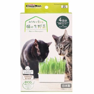 キャティーマン おうちで育てる 猫の生野菜 4回分 ペット用品