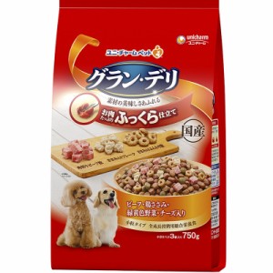 （まとめ買い）グラン・デリ ふっくら仕立て ビーフ・鶏ささみ・緑黄色野菜・チーズ・角切りビーフ粒入り 750g 犬用フード 〔×9〕