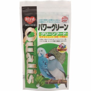 （まとめ買い）クオリス パワーグリーン 100g 鳥用フード 〔×10〕