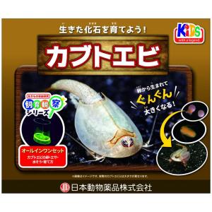 ニチドウ 飼育観察セット カブトエビ 観賞魚用品 ペット用品 【北海道・沖縄・離島配送不可】