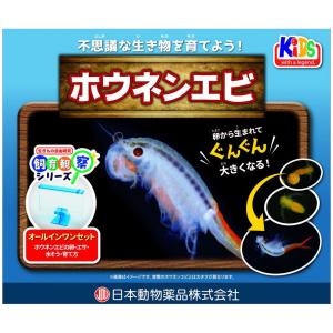 ニチドウ 飼育観察セット ホウネンエビ 観賞魚用品 ペット用品 【北海道・沖縄・離島配送不可】