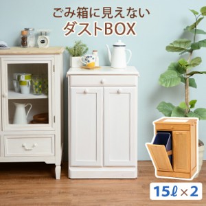 ごみ箱に見えないダストボックス 〔ts120862〕 2分別タイプ 容量15L×2 ナチュラル