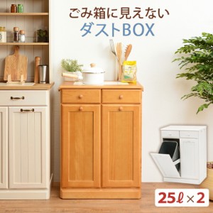 ごみ箱に見えないダストボックス 〔ts120862〕 2分別タイプ 容量25L×2 ナチュラル