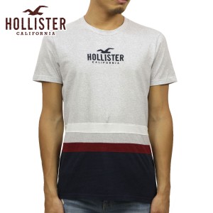 ホリスター Tシャツ メンズ 正規品 HOLLISTER 半袖Tシャツ クルーネックTシャツ ロゴTシャツ Colorblock Logo Graphic Tee 323-243-2534-