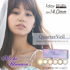 ミッシュブルーミン Miche Bloomin 1day 02 ブロンズアッシュ 10枚入 2箱セット (姫野佐和子 カラコン ワンデー)