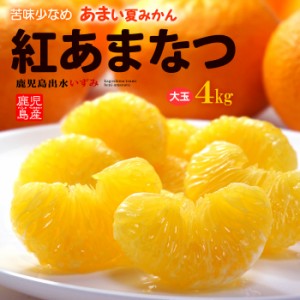 紅甘夏 みかん 2L-3L (約4kg) 鹿児島産 秀品 紅あまなつ 紅甘夏 甘夏みかん あまなつ 甘夏 甘夏柑 みかん 夏みかん 4キロ 大玉 甘い 秀品