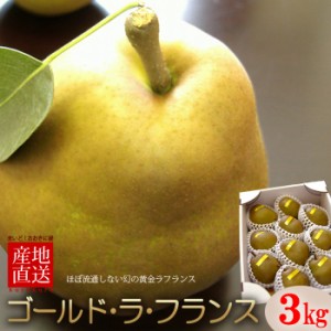 ゴールドラフランス (約3kg) 山形産 贈答用 洋梨 西洋梨 ゴールド ラ・フランス らふらんす pear 食品 フルーツ 果物 洋梨 お歳暮 御歳暮