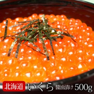 いくら 醤油漬け (500g) 北海道産 大粒 高級 イクラ いくら 魚卵 鮭 サケ 送料無料 ギフト 贈答