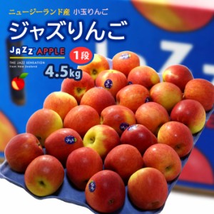 jazz りんご (約4.5kg) ニュージーランド産 ジャズ りんご リンゴ 林檎 jazz apple 食品 フルーツ 果物 輸入 高糖度 甘い ジャズりんご 