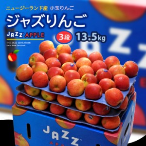 jazz りんご (約13.5kg) ニュージーランド産 ジャズ りんご リンゴ 林檎 jazz apple 食品 フルーツ 果物 輸入 高糖度 甘い ジャズりんご 
