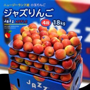 jazz りんご (約18kg) ニュージーランド産 ジャズ りんご リンゴ 林檎 jazz apple 食品 フルーツ 果物 輸入 高糖度 甘い ジャズりんご 小