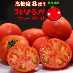 はるかエイト (約900g) 北海道産 はるか8 北はるか トマト とまと tomato フルーツ フルーツトマト 糖度8度以上 夏のフルーツトマト 高糖