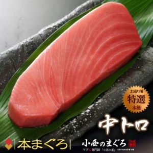 本マグロ 中トロ (約200g×2柵) 地中海産 蓄養鮪 贈答用 本マグロ 中トロ 中とろ トロ 本まぐろ 本鮪 まぐろ 鮪 クロマグロ 黒まぐろ 黒