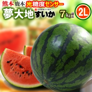 熊本すいか 夢大地 鹿本のスイカ (2L×1玉) 熊本産 秀品 熊本スイカ 贈答 ギフト 熊本 すいか 西瓜 スイカ かもと 糖度11度以上選果 光セ