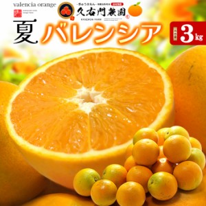 久右門農園 バレンシアオレンジ 秀品 (約3kg) 和歌山県 有田郡 湯浅町産 国産 バレンシア オレンジ おれんじ valencia orange 国産 3キロ