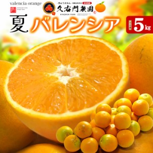 久右門農園 バレンシアオレンジ 秀品 (約5kg) 和歌山県 有田郡 湯浅町産 国産 バレンシア オレンジ おれんじ valencia orange 国産 5キロ