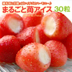まるごと 苺アイス (30粒) いちごアイス イチゴアイス みるくいちご みるく苺 ミルクいちご ミルク苺 みるくイチゴ いちご イチゴ 苺 冷