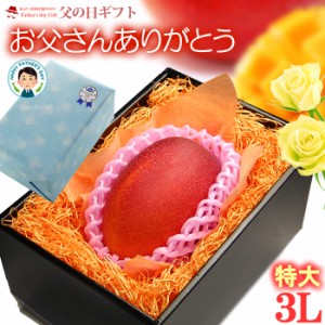 父の日 ギフト 宮崎マンゴー (3L×1玉/約460g) 宮崎産 秀品 父の日ギフト 専用 宮崎 完熟マンゴー 国産マンゴー アップルマンゴー アーウ