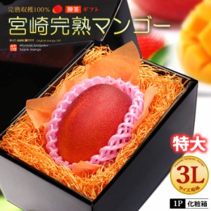 宮崎マンゴー (3L/約450g) 宮崎産 秀品 宮崎完熟マンゴー 国産マンゴー アップルマンゴー アーウィン種 mango ギフト 贈答 国産 完熟 マ