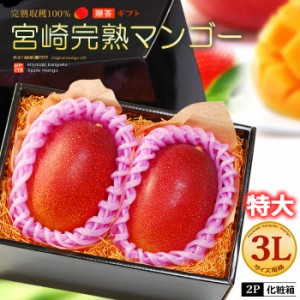 宮崎マンゴー (3L×2玉/約900g) 宮崎産 秀品 宮崎完熟マンゴー 国産マンゴー アップルマンゴー アーウィン種 mango ギフト 贈答 国産 完