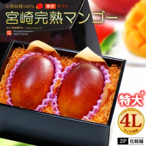 宮崎マンゴー (4L×2玉/約1020g) 宮崎産 秀品 宮崎完熟マンゴー 国産マンゴー アップルマンゴー アーウィン種 mango ギフト 贈答 国産 完