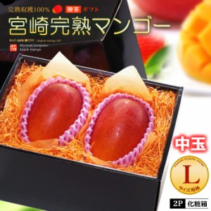 宮崎マンゴー (L×2玉/約600g) 宮崎産 秀品 宮崎完熟マンゴー 国産マンゴー アップルマンゴー アーウィン種 mango ギフト 贈答 国産 高糖