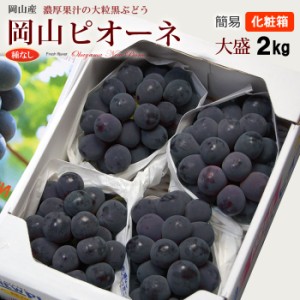 岡山 ニューピオーネ (3-5房/約2kg) 岡山産 赤秀 ピオーネ ぴおーね pione 贈答用 種無し ぶどう ブドウ 葡萄 お中元 御中元 ギフト 贈答