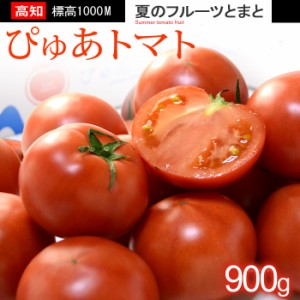 ぴゅあトマト (約900g) 高知産 フルーツトマト とまと トマト tomato トマトぴゅあとまと ピュアとまと ピュアトマト 高知県 仁淀川町 高